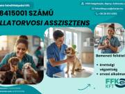 Állatorvosi Asszisztens