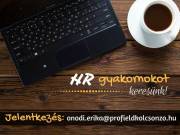 Hr gyakornok