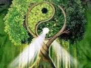 Ayurveda - Egészségmegőrző, frissítő, nyugtató masszázs kezelések Budapesten, 3800 forinttól.