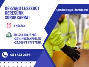 A XXIII. kerületbe keresünk KÉSZÁRU LESZEDŐ kollégákat!