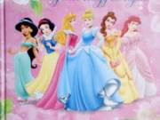 HERCEGNŐK NAGY KÖNYVE DISNEY MESEKÖNYV