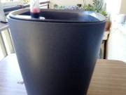 VIRÁGTARTÓ LECHUZA DELTINI ÖNÖNTÖZŐVEL 18 CM MAGAS ÉS 14 CM AZ ÁTMÉRŐJE