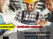 Géplakatos karbantartó munkatársat keresünk!