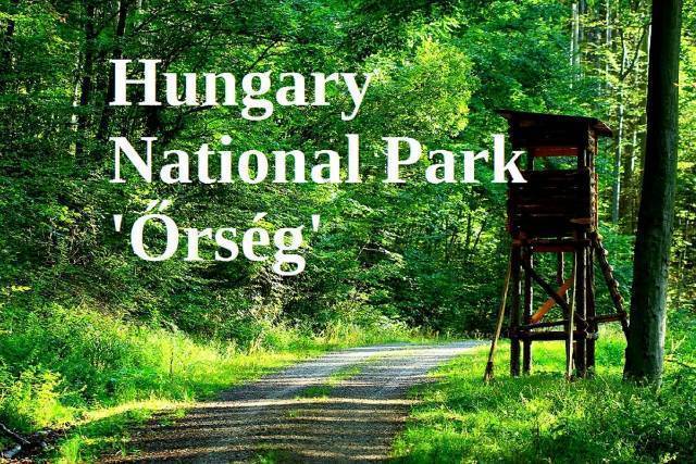 Kiadó vendégház az Őrségben