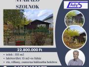 Holt Tisza melletti telek