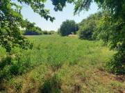 Tiszaföldváron jó áron telek eladó