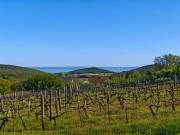 Balatoni panorámás nyaraló eladó Felsőörsön