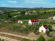 Örök Panorámás  pince - présház  Érvényes építési engedéllyel