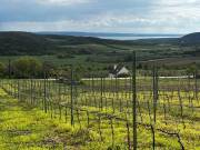 Óbudaváron ÖRÖK PANORÁMÁS zártkert eladó! 5107nm!