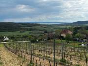 Eladó ÖRÖK PANORÁMÁS zártkert Óbudaváron! 3989nm!
