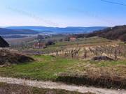 TÁJPANORÁMÁS, ÉPÍTHETŐ ZÁRTKERT BALATONCSICSÓN
