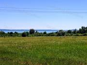 Könnyű megközelíthetőség - eladó SZŐLŐTERÜLET BALATONAKALIBAN