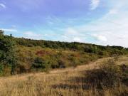 Zártkert eladó, BALATONALMÁDI