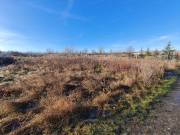Sopron Nyugati-majorban eladó 749 m²-es, külterületi, szántó besorolású telek.