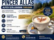 520/4. Pincér állás alpesi szálloda Tirol