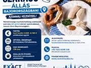 24. Szakács állás Bajorországban