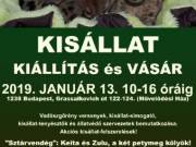 kisállat kiállítás és vásár