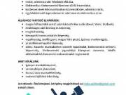 Közbeszerzési asszisztens