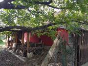 Eladó Tanya, Albertirsa,  Nincs megadva, 70nm
