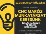 CNC marós kollégát keresünk