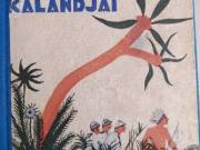 May Károly uti kalandjai - A fekete táltos