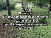 Zöldterület kezelès, Fűnyíràs 