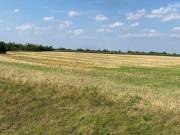 Eladó Lakóövezeti telek, Mezőörs, Mindszentpuszta, 1774nm