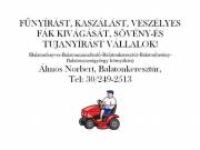 Kertgondozás! Fűnyírás, kaszálás, sövénynyírás, veszélyes fák kivágása