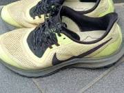 Nike Pegasus