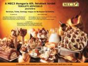 A MEC3 Hungaria Kft. felvételt hirdet TERÜLETI KÉPVISELŐ  pozícióra