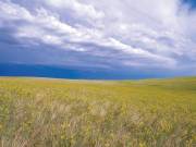 Eladó Lakóövezeti telek, Dabas, 1445nm