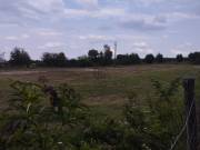 7000 m2-es külterületi telek Nógrád