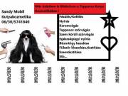 Kutyakozmetika,Mobil Kutyakozmetika