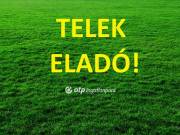 Eladó 1155 m2-es építési telek Debrecen, Pallag