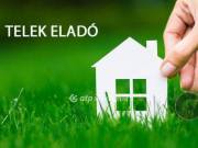 Eladó 4843 m2-es építési telek Kismarja, Fő utca