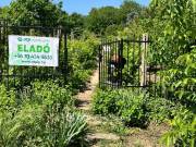Eladó 51 m2-es üdülő, nyaraló Rácalmás, nyugodt