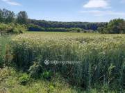 Eladó 2048 m2-es szántóföld, legelő Debrecen, Vekeri tó közeliben