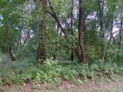 Eladó 514 m2-es építési telek Tiszaújváros, Tisza sziget