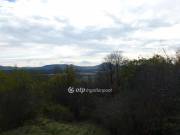 Eladó 6124 m2-es építési telek Zalahaláp, Erdös