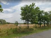Eladó 9291 m2-es építési telek Röszke, Röszkei bekötőút