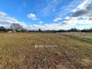 Eladó 2155 m2-es építési telek Nagykőrös, Tázerdő