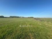 Eladó 150000 m2-es szántóföld, legelő Kismarja, Óvoda mellett