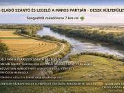 Eladó 385424 m2-es szántóföld, legelő Deszk, mezőgazdasági