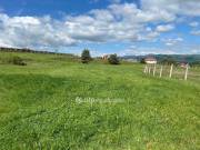 Eladó 1760 m2-es építési telek Berkenye, Villapark
