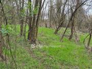 Eladó 4899 m2-es szántóföld, legelő Pellérd, Családi házas