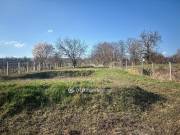 Eladó 4171 m2-es építési telek Tök, Kis sor