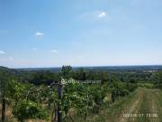 Eladó 7000 m2-es szántóföld, legelő Siklós, Szőlőhegy
