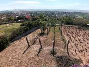 Eladó 845 m2-es építési telek Pákozd, Csendes, Panoráma kilátás