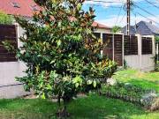 Eladó 854 m2-es építési telek Miskolc, Belváros közeli