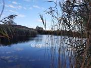 Eladó 31500 m2-es építési telek Balatongyörök, Csendes